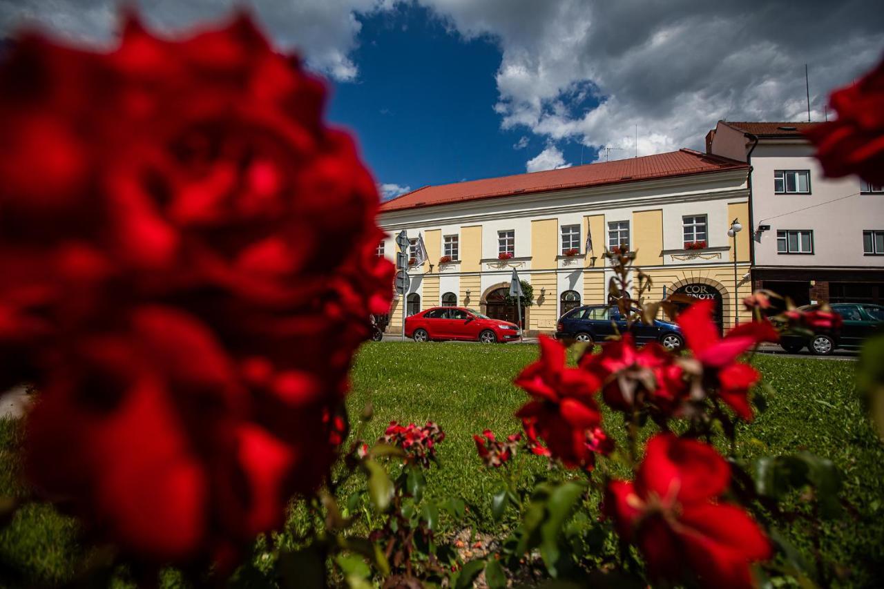 Penzion Satlava Nové Město nad Metují المظهر الخارجي الصورة